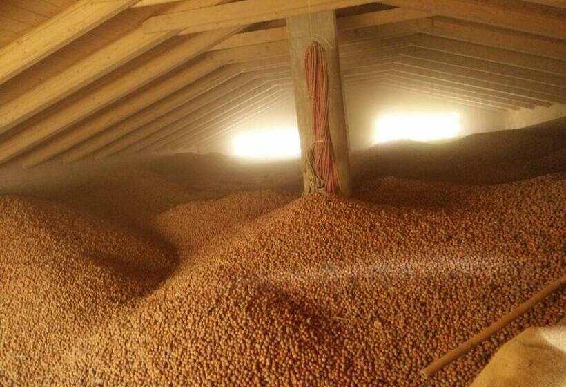 فندق Agriturismo Tre Stelle