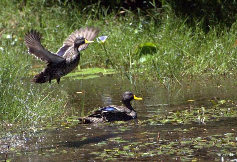 ホテル Four Fields Farm