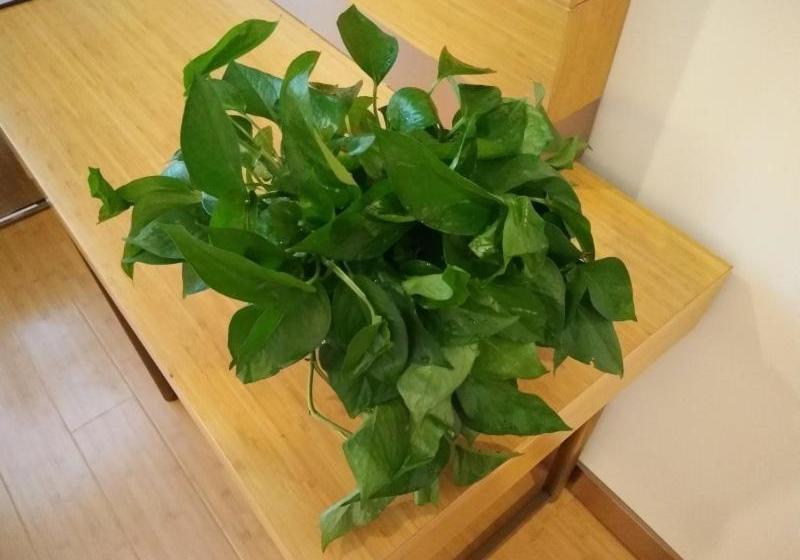 호텔 Greentree Inn Jinzhong Yuci District North Huitong Road Express