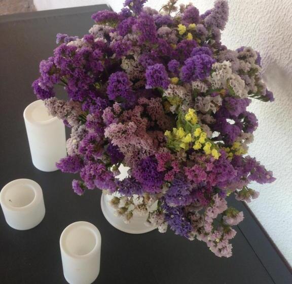 فندق Herdade D. Pedro