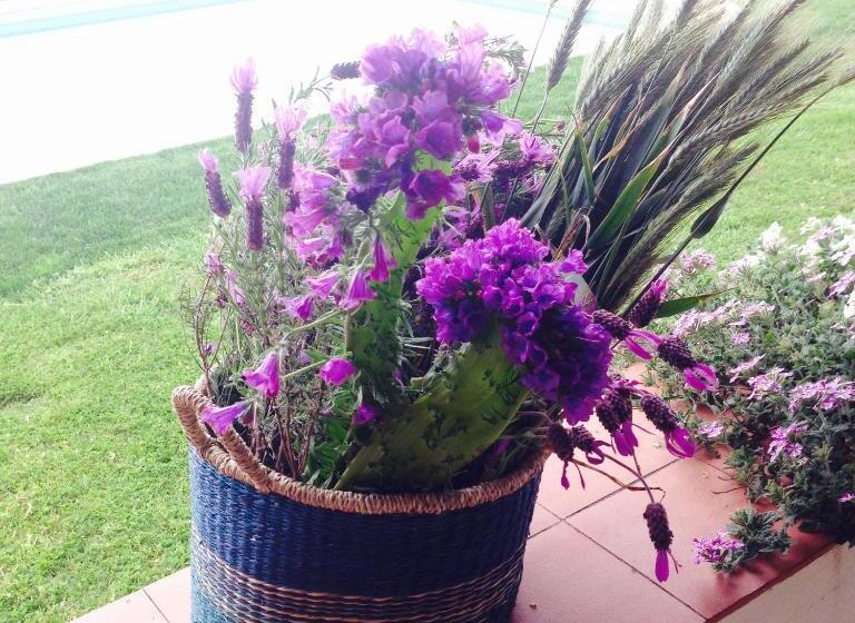 בית מלון כפרי Herdade D. Pedro