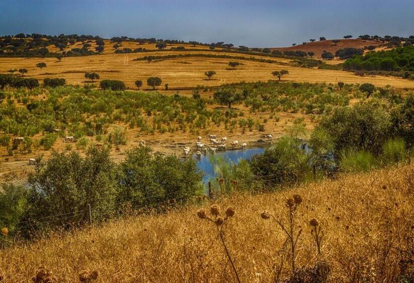 فندق Herdade D. Pedro