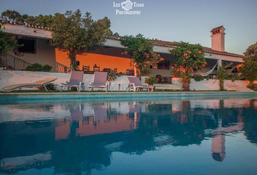 فندق Herdade D. Pedro