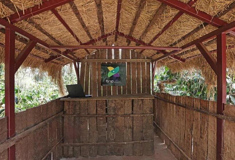 Itsy Hotels Jammabane Cottage