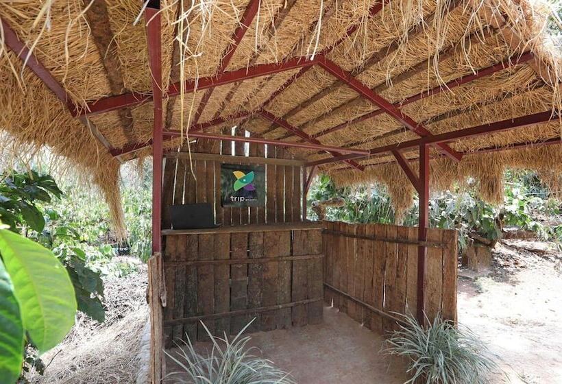 Itsy Hotels Jammabane Cottage