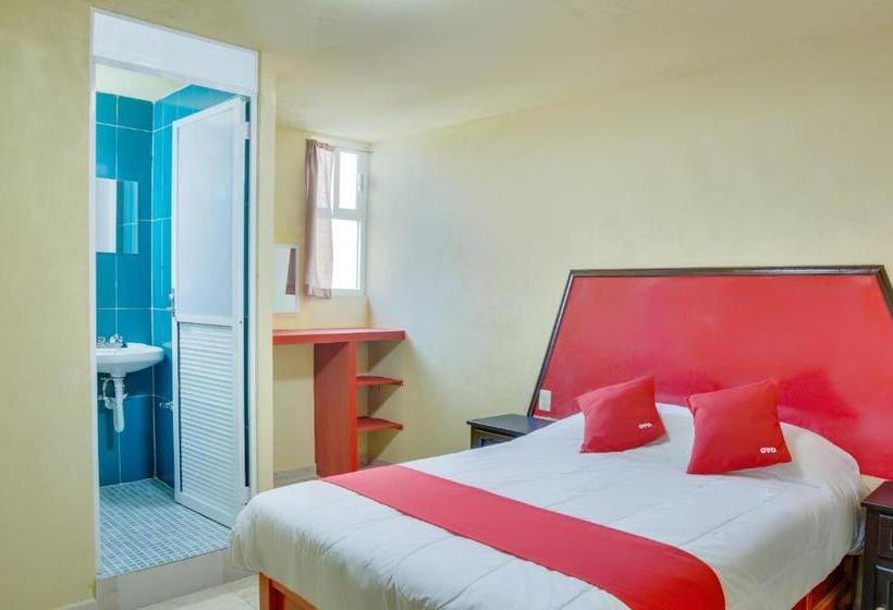 فندق La Frontera