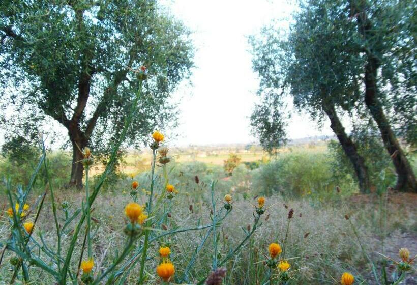 酒店 Agriturismo La Capacciola