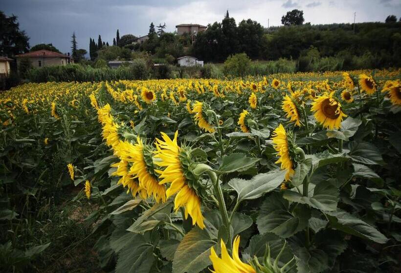 酒店 Agriturismo La Capacciola
