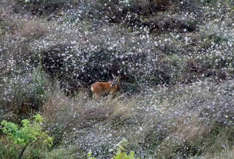 酒店 Tenuta I Lecci