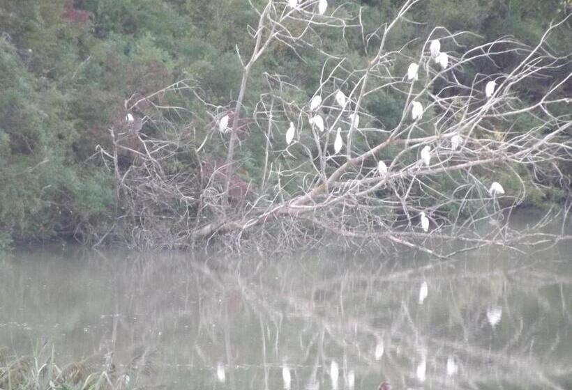 酒店 Tenuta I Lecci