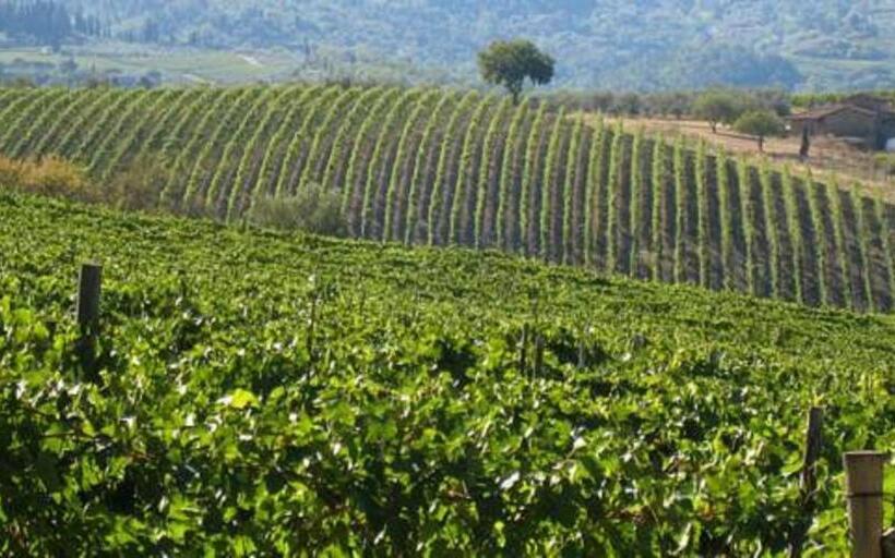 בית מלון כפרי Terre Di Melazzano   Le Case Di Chiara