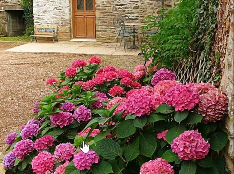 فندق The Storyteller Apartment Chateau Le Mur