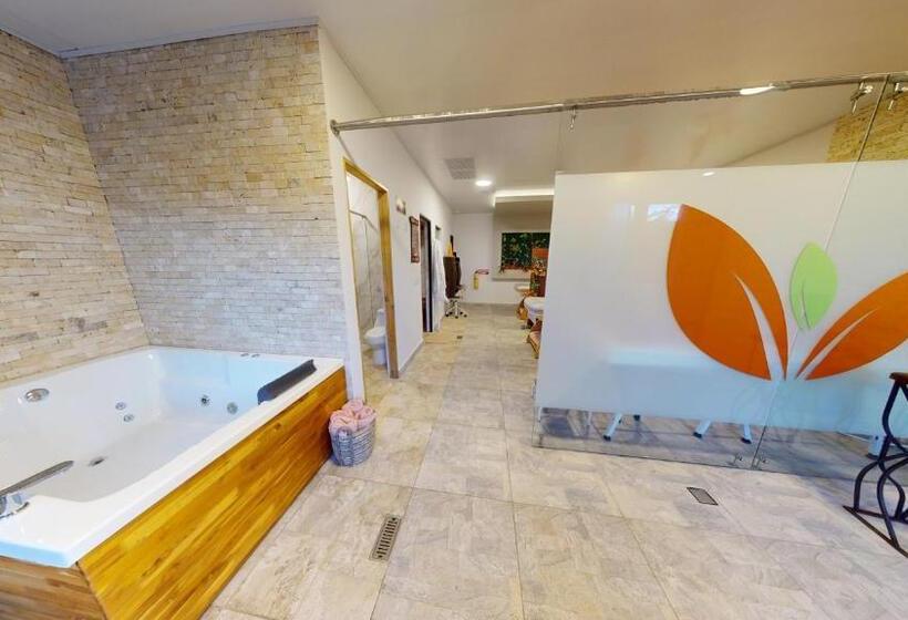 Отель Villa Colonia