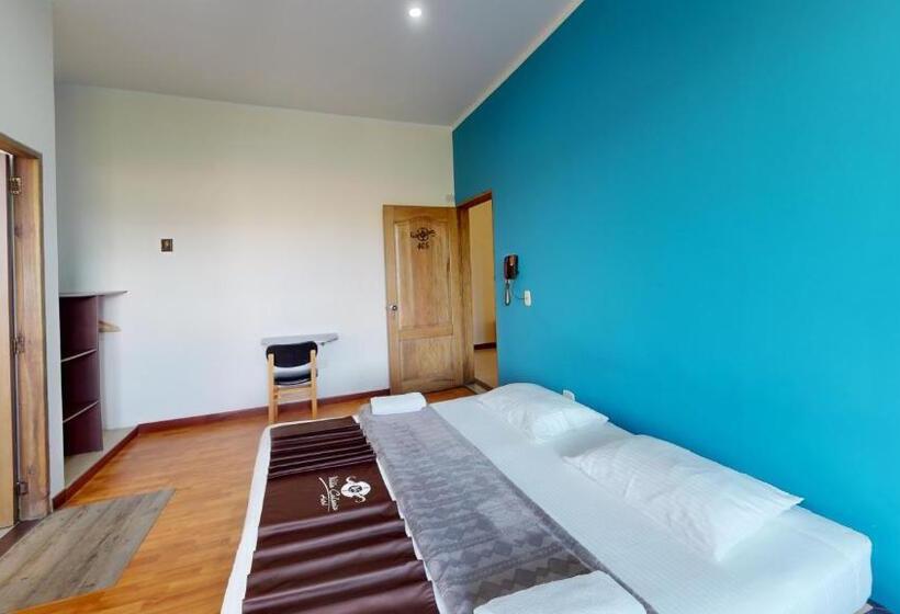 Отель Villa Colonia