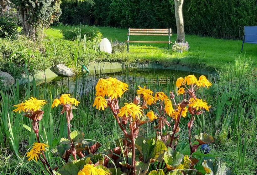 بنسيون A L'ombre Du Mont St Michel