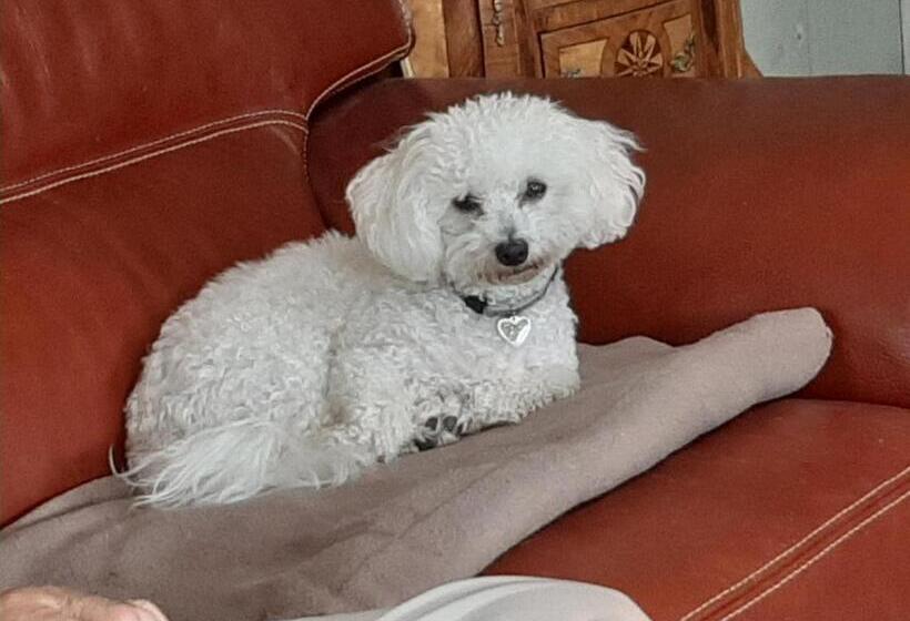 بنسيون A L'ombre Du Mont St Michel