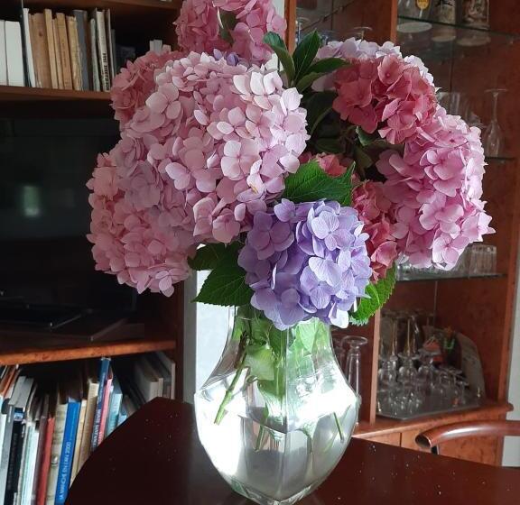 بنسيون A L'ombre Du Mont St Michel