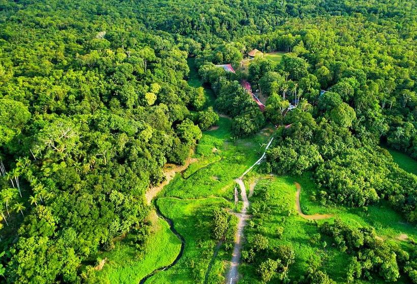 Пансион Amazonia Jungle