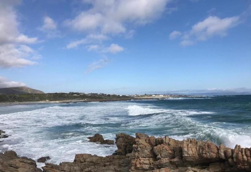 پانسیون Bird's View