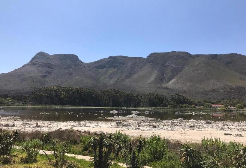 پانسیون Bird's View