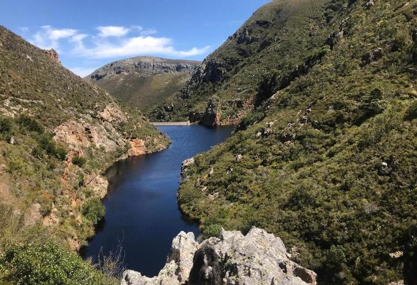 پانسیون Bird's View