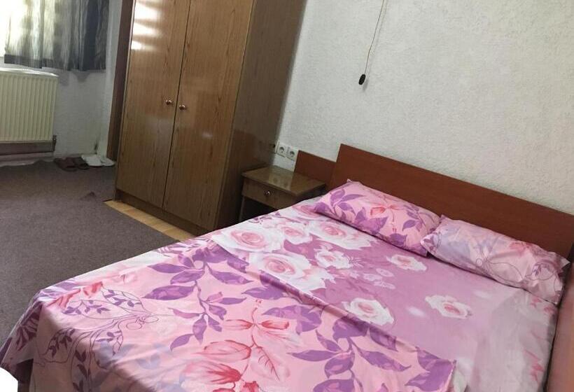 پانسیون Bujtina Oltas