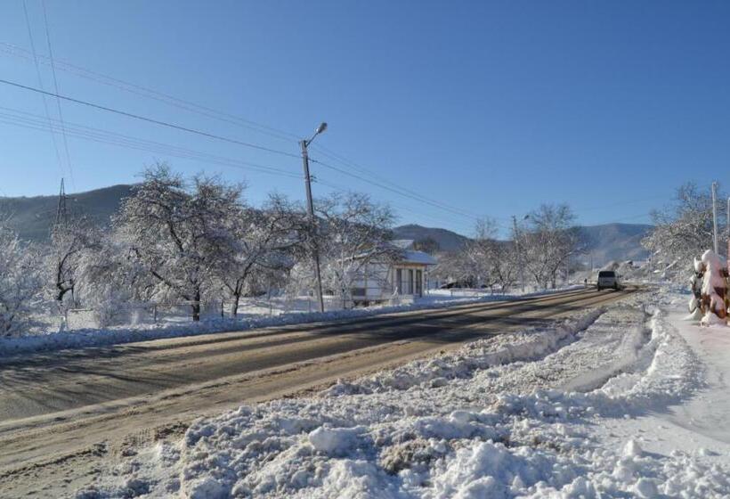 پانسیون Faina House