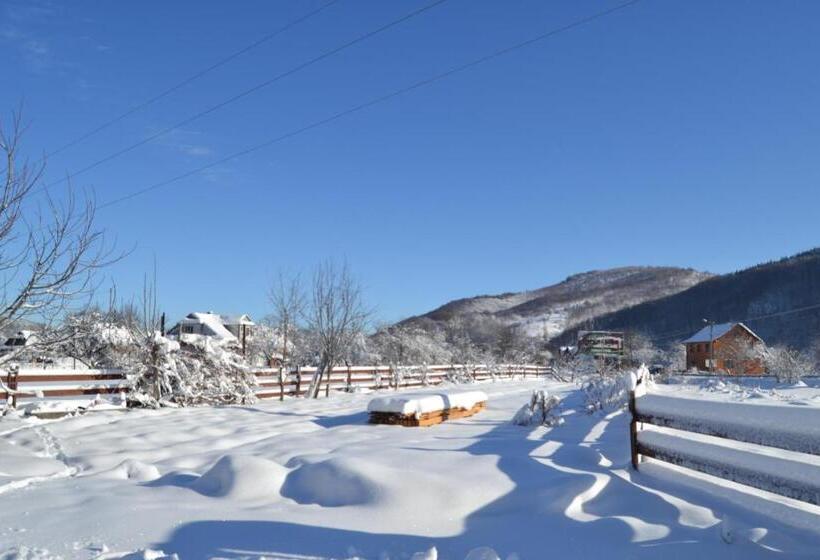 پانسیون Faina House