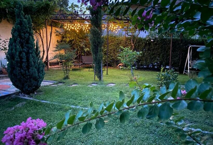 بنسيون Family Hotel May