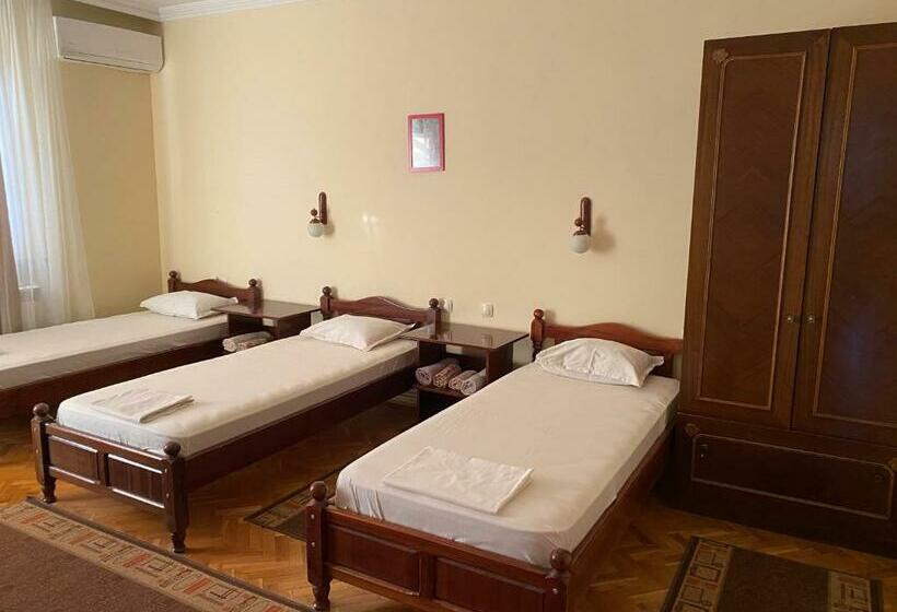 بنسيون Family Hotel May