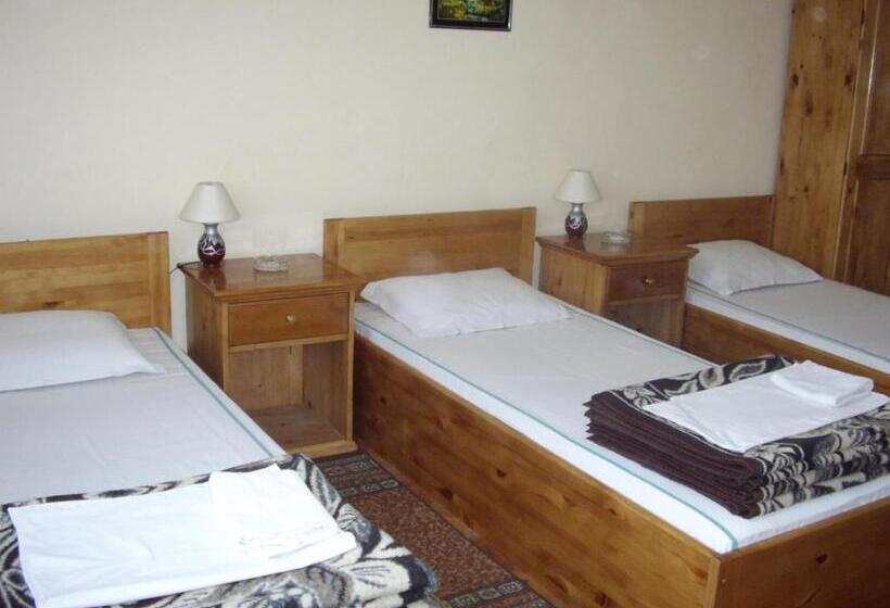 بنسيون Family Hotel May