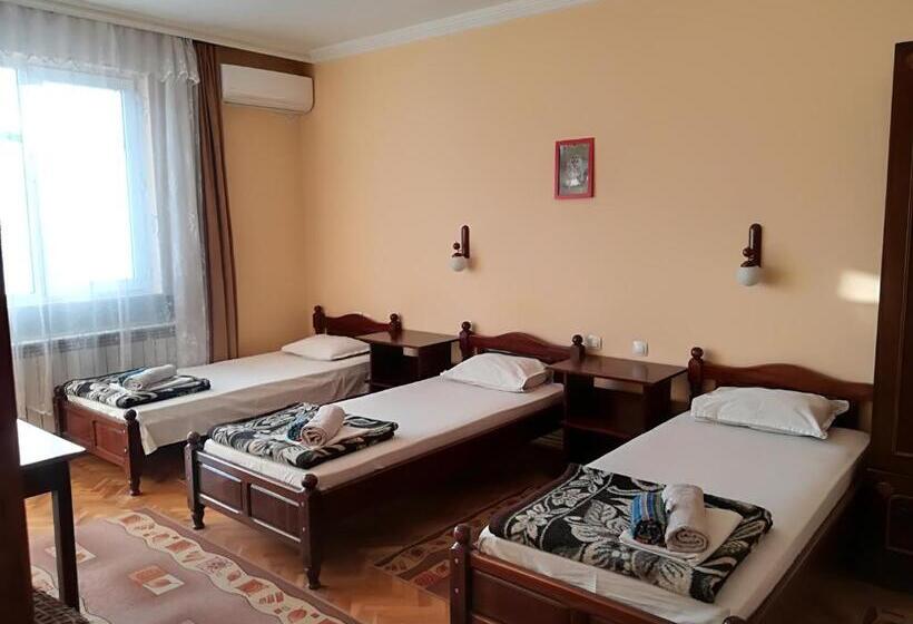 بنسيون Family Hotel May