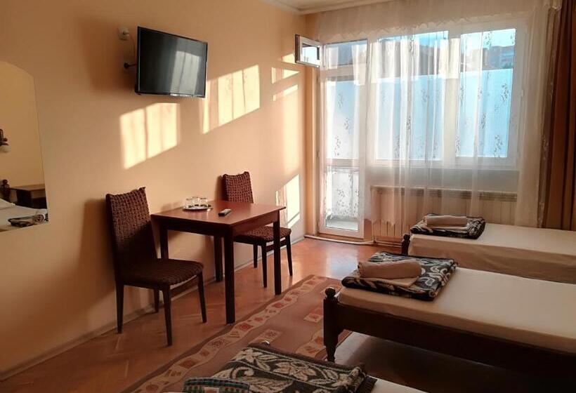 بنسيون Family Hotel May