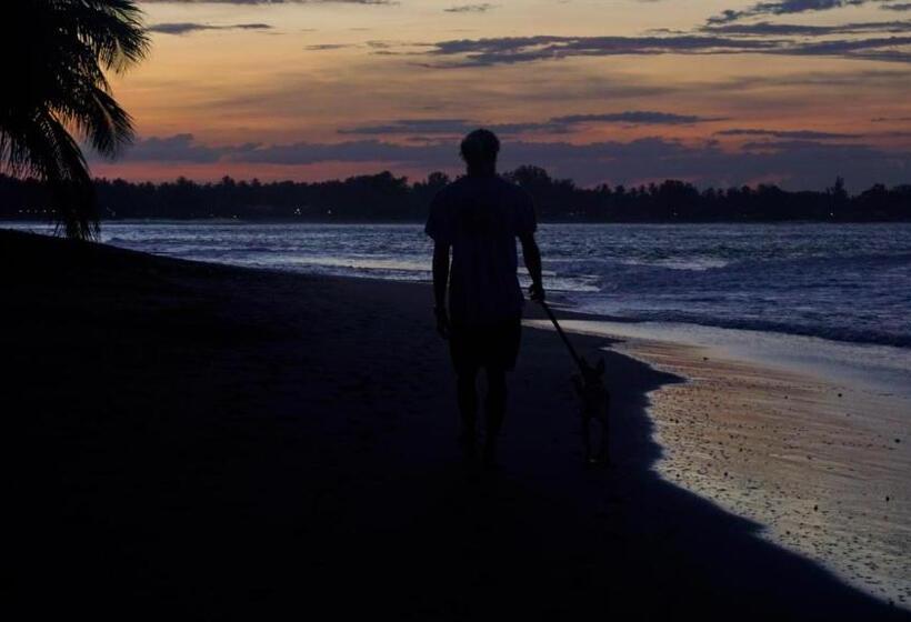 膳宿费 Forcus Cabanas