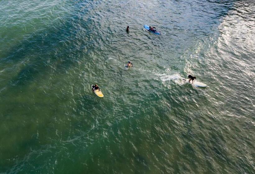 膳宿费 Forcus Cabanas