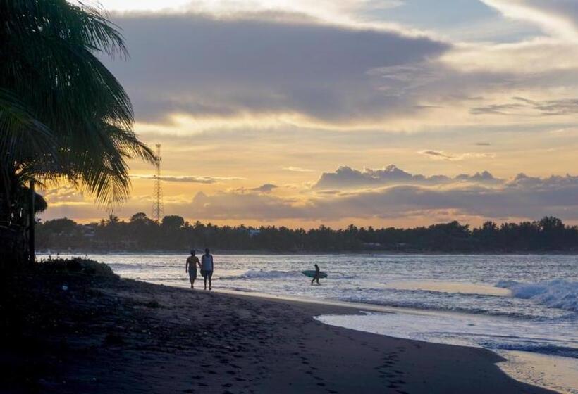 膳宿费 Forcus Cabanas