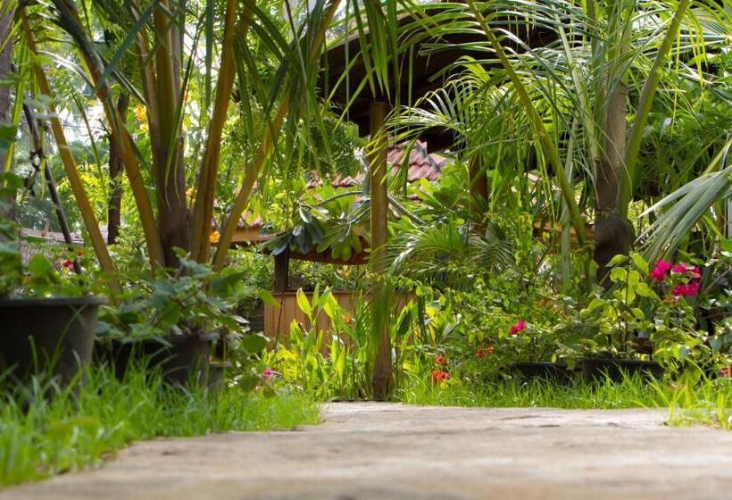 膳宿费 Forcus Cabanas