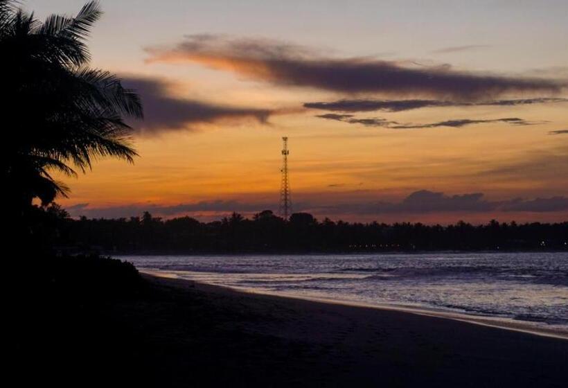 膳宿费 Forcus Cabanas