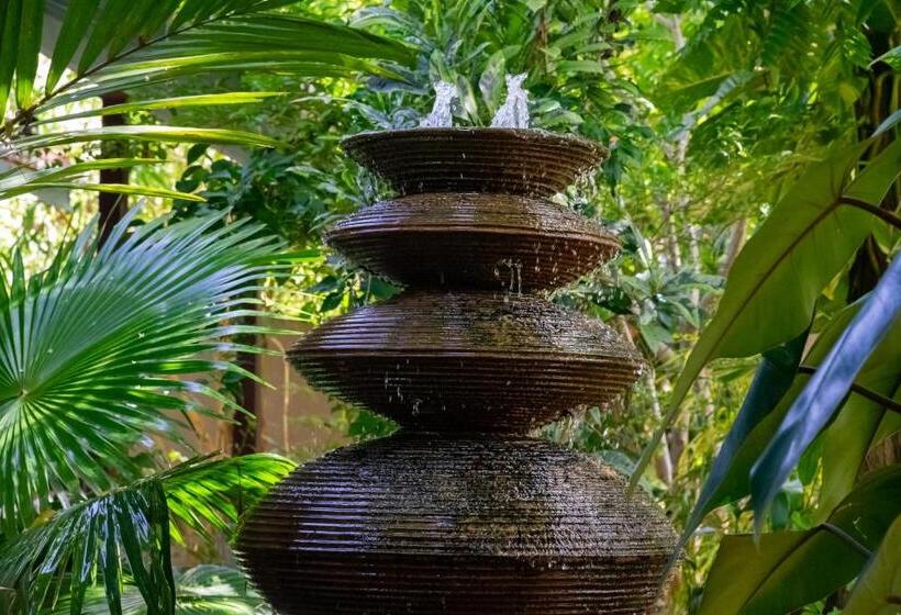 膳宿费 Forcus Cabanas