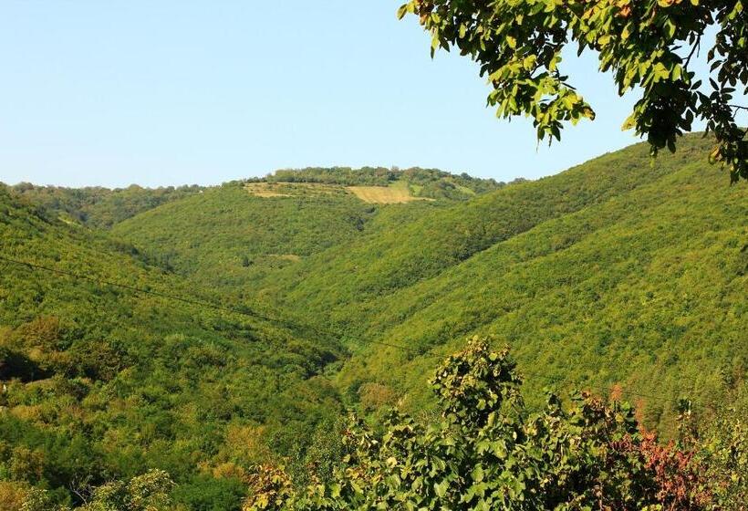 پانسیون Guest House Pirosmani 60