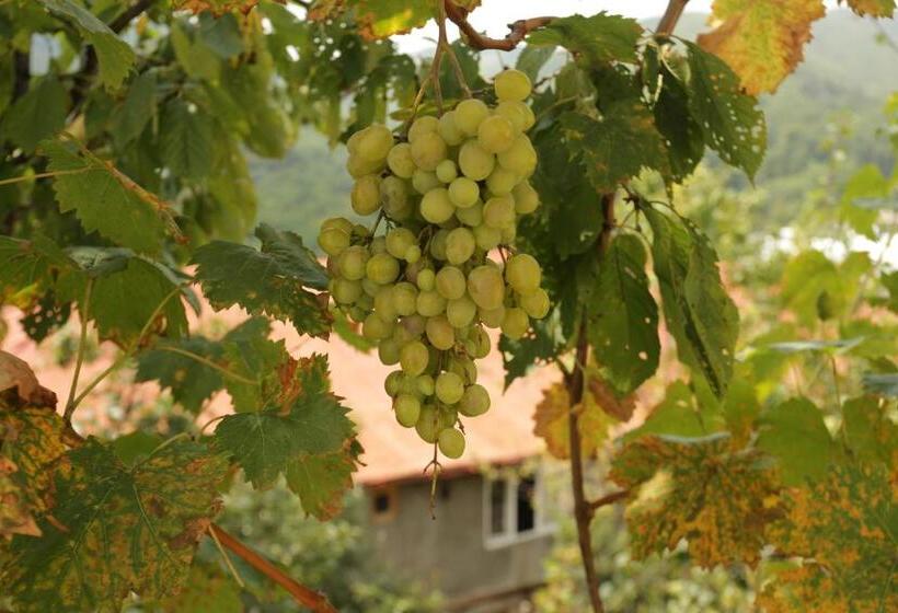 پانسیون Guest House Pirosmani 60