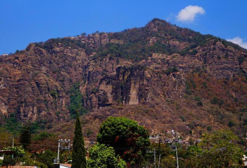 ペンション Hospedaje La Hoja