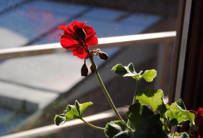 پانسیون House In Borjomi