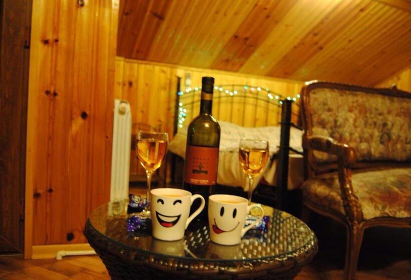 پانسیون House In Borjomi