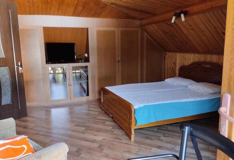 پانسیون House In Borjomi