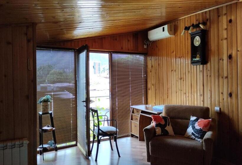 پانسیون House In Borjomi