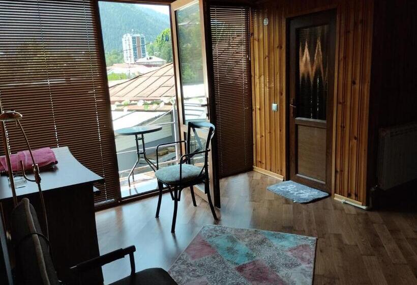 پانسیون House In Borjomi