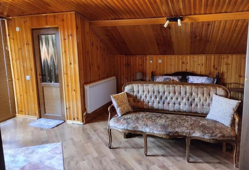 پانسیون House In Borjomi