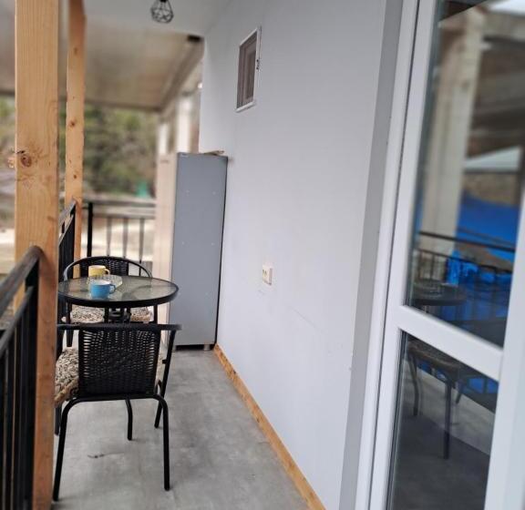 پانسیون Ira & Vaso S Guest House Borjomipark