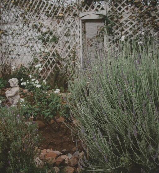 بنسيون Lydenburg Manor Guest House